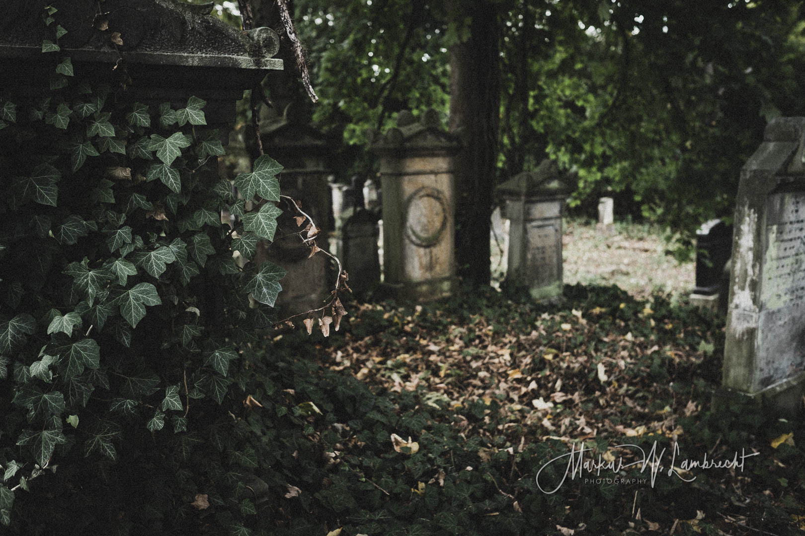 Steinheim (Westfalen), Jüdischer Friedhof